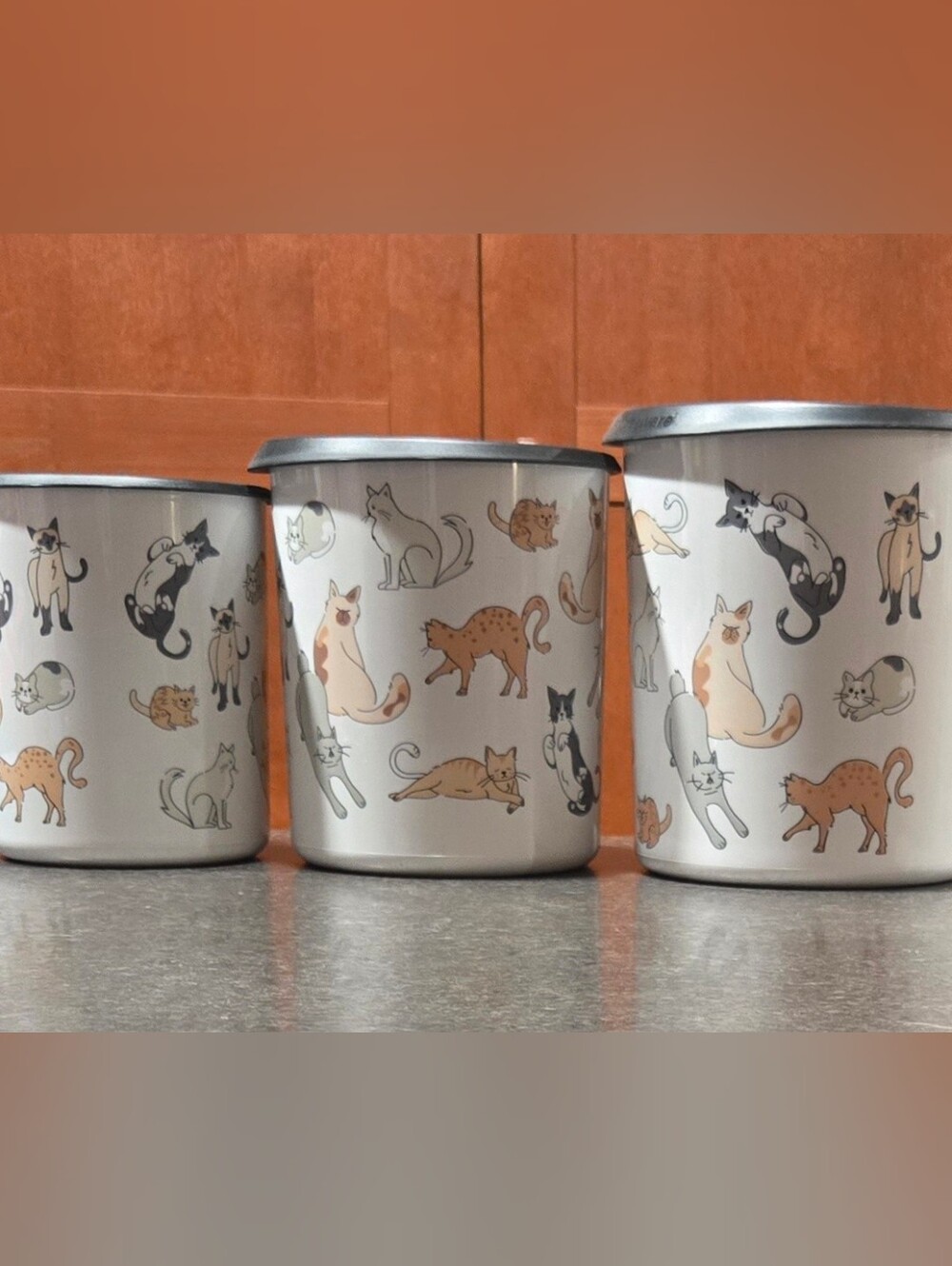 Tupperware 3-pc EXCLUSIVE Cat Print One Touch Canister Set
